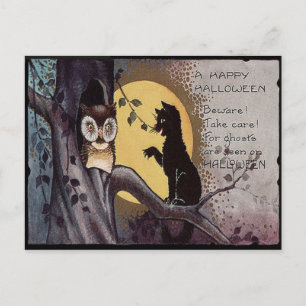 Cartão Postal Cabra Negra Gato de Lua Completa Noite de Árvore
