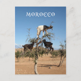Cartão Postal Cabras engraçadas numa árvore