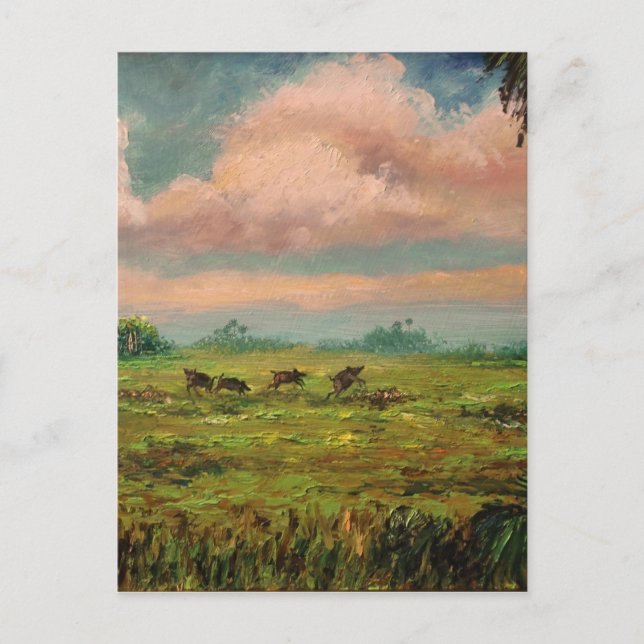 Cartão Postal Caça a Cachorros Selvagens na Flórida (Frente)