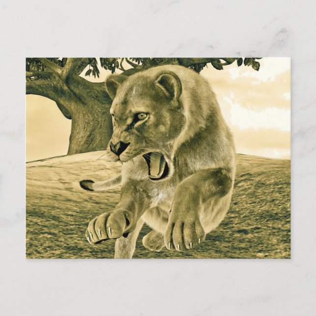 Cartão Postal Caça à ionidade (Frente)