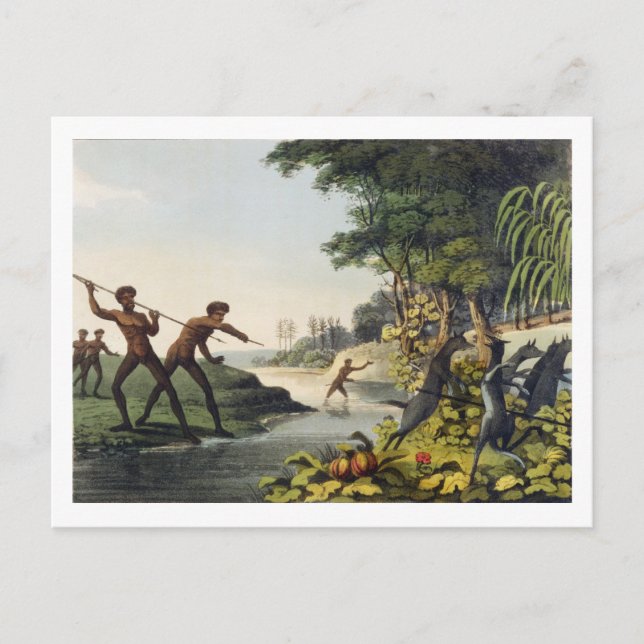 Cartão Postal Caça ao canguru, aborígenes em Nova Sala do Sul (Frente)