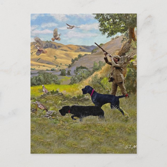Cartão Postal Caça ao Chukar Partridge (Frente)