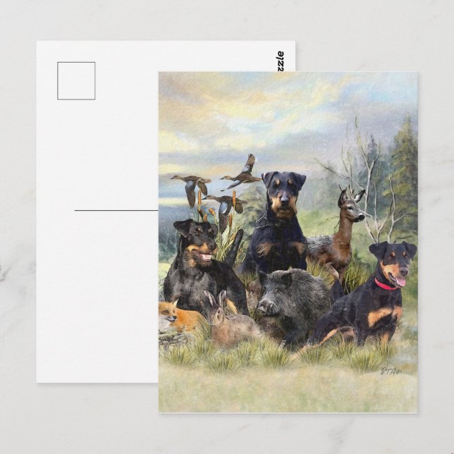 Cartão Postal Caça com Jagdterriers, Arte (Frente/Verso)