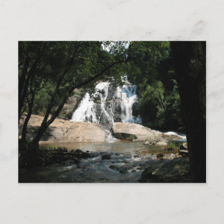 Cartão Postal Caça-d'água espantosa na África do Sul