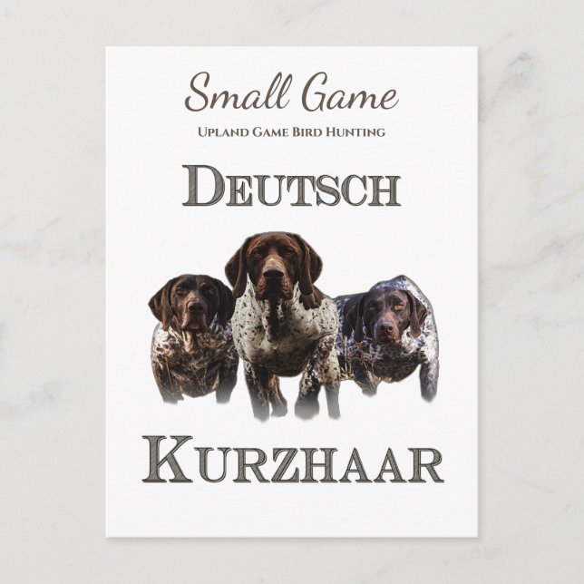 Cartão Postal Caça de pássaros, caça de pássaros de caça ao plan (Frente)