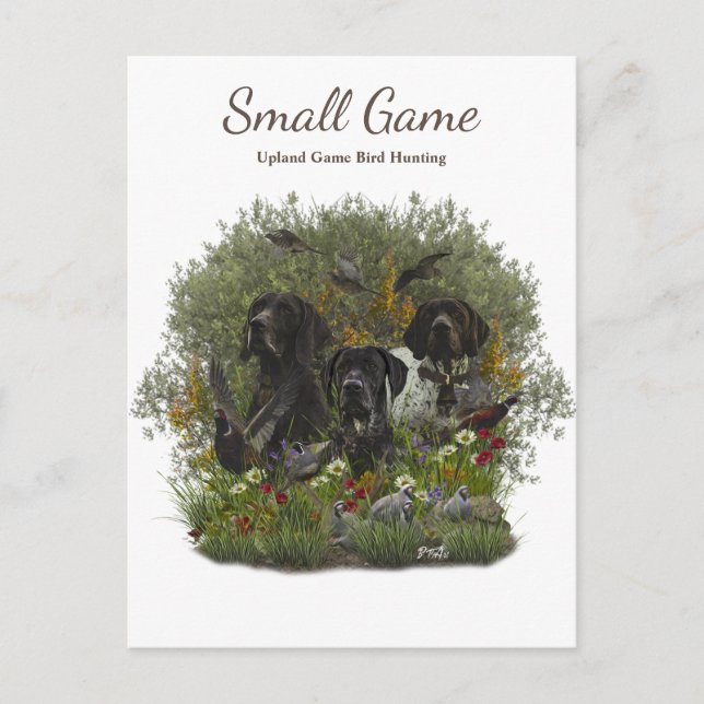 Cartão Postal Caça de pássaros, caça de pássaros de caça ao plan (Frente)