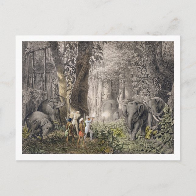 Cartão Postal Caça do elefante na região de Logalla, 'de Trav (Frente)