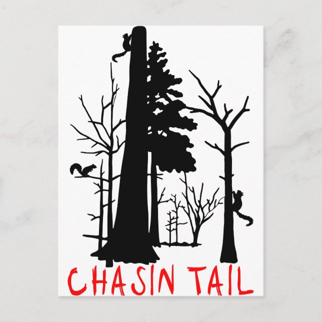 CARTÃO POSTAL CAÇA SQUIRREL (Frente)