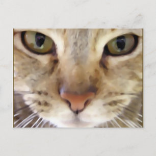 Cartão Postal Caçador