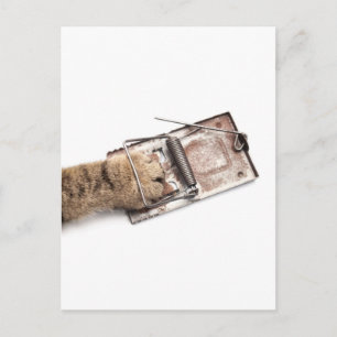 Cartão Postal Caçador capturado