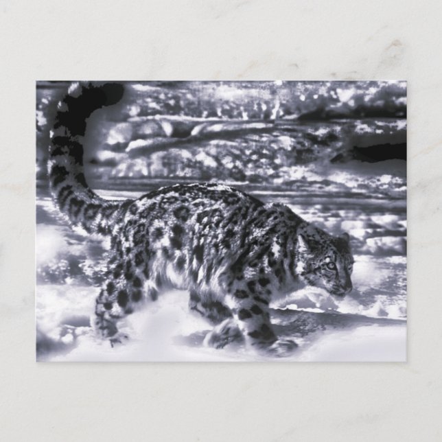 Cartão Postal Caçador de Neve 3 (Frente)