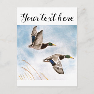 Cartão Postal Caçadores de Patos