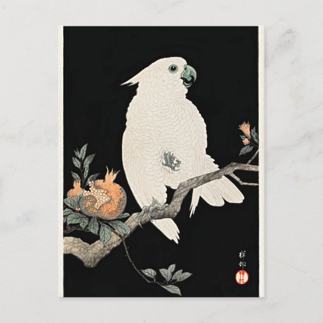 Cartão Postal Cacatua e Romã, arte fina de Ohara Koson (Frente)