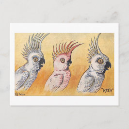 Cartão Postal Cacatuas, Louis Wain,