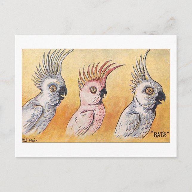 Cartão Postal Cacatuas, Louis Wain,  (Frente)