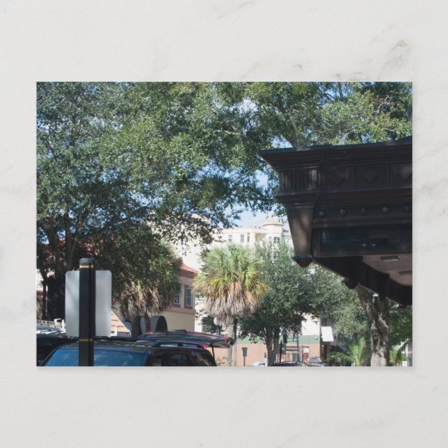 Cartão Postal Cacau, Flórida (Frente)