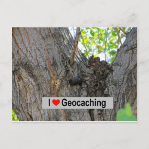 Cartão Postal Cache de Perfil de Árvore: Geocaching