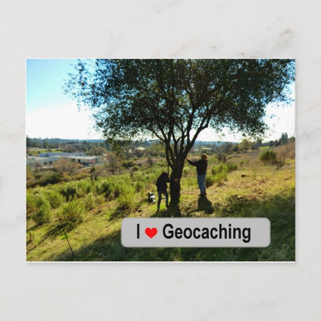 Cartão Postal Cache de substituição de árvores no Geocaching (Frente)