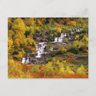Cartão Postal Cachoeira abaixo do Mt Cannon no Glacier National