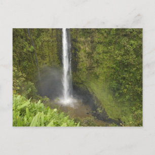 Cartão Postal Cachoeira Akaka, Costa de Hamakua, Ilha do Havaí,