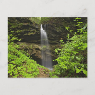 Cartão Postal Cachoeira caindo na dolina, Whiteoak Sink,