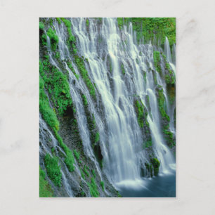 Cartão Postal Cachoeira cênica, Califórnia
