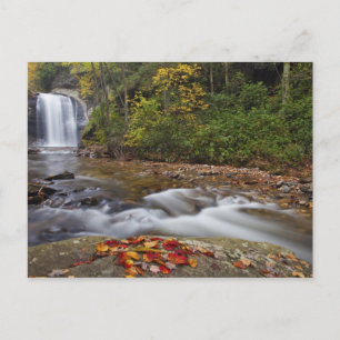 Cartão Postal Cachoeira Looking Glass no Pisgah National