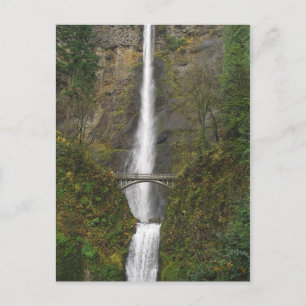 Cartão Postal Cachoeira Multnomah e cartão-postal da Benson Foot