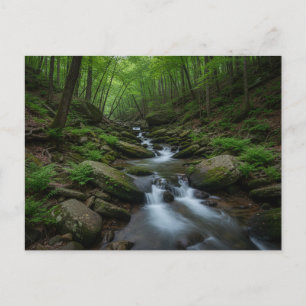 Cartão Postal cachoeira na floresta de Gatlinburg, Tennessee