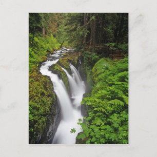 Cartão Postal Cachoeira Sol Duc no Parque Nacional Olímpico em