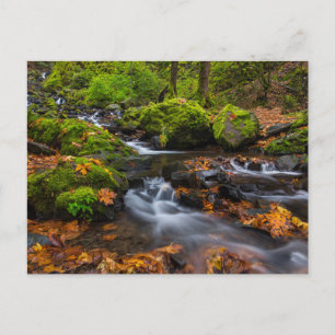Cartão Postal Cachoeira Starvation Creek Columbia Gorge, Orego