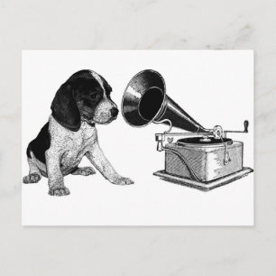 Cartão Postal Cachorrinho Beagle com Gramofone