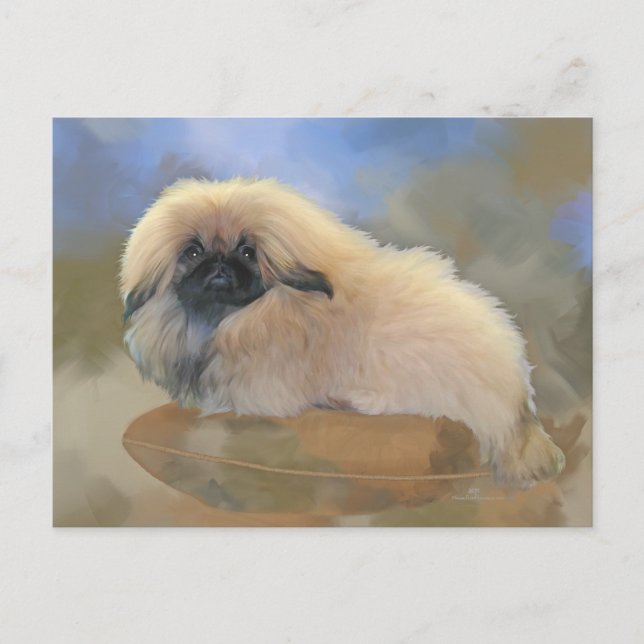 Cartão Postal Cachorrinho Bonito (Frente)