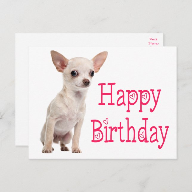 Cartão Postal Cachorrinho Engraçado de Chihuahua Aniversário Fof (Frente/Verso)