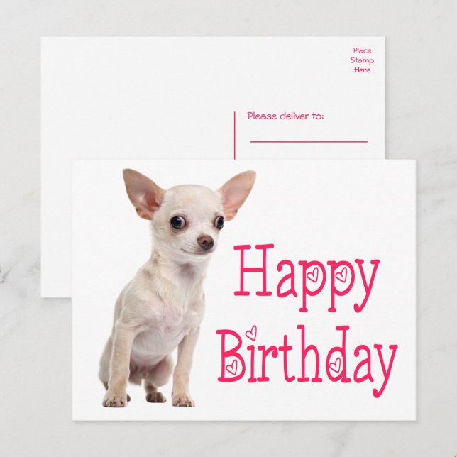 Cartão Postal Cachorrinho Engraçado do Dia do Aniversário da Chi (Frente/Verso)