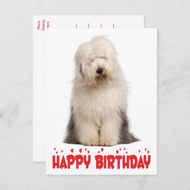 Cartão Postal Cachorrinho Fofinho Cão de Pastor Inglês Antigo An (Frente/Verso)