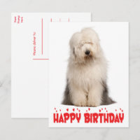 Cachorrinho Fofinho de Aniversário do Velho Cão de