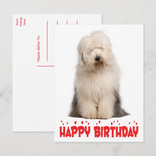 Cartão Postal Cachorrinho Fofinho de Aniversário do Velho Cão de