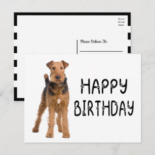 Cartão Postal Cachorrinho Fofo de Terrier Airdale Aniversário Fe