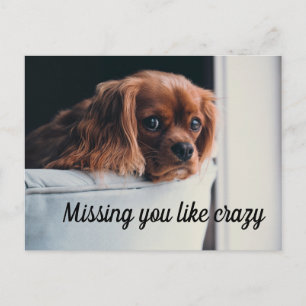 Cartão Postal Cachorrinho Triste e Fofo que sente Saudade Loucam