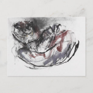 Cartão Postal Cachorro