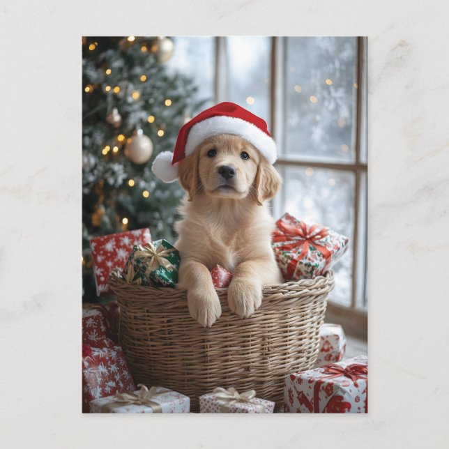 Cartão Postal Cachorro Adorável com Papai Noel na Cesta (Frente)