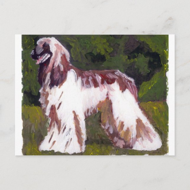 Cartão Postal Cachorro Afegão (Frente)