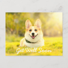 Cartão Postal Cachorro Amarelo e Encorajamento Recupere-se Bem