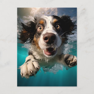 Cartão Postal Cachorro Animado Nadando Embaixo D'água Design