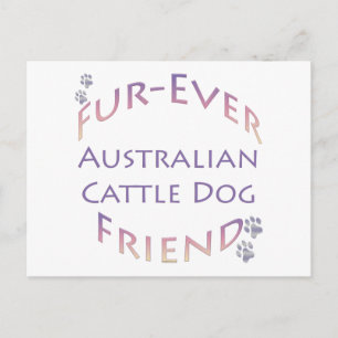 Cartão Postal Cachorro Australiano