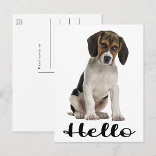 Cartão Postal Cachorro Beagle Fofo Olá Cachorrinho Engraçado Pen