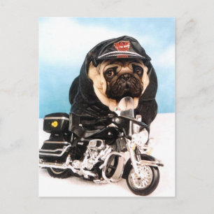 Cartão Postal Cachorro Biker Pug