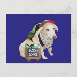 Cartão Postal Cachorro Bonito Engraçado de Volta à Escola