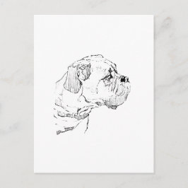 Cartão Postal Cachorro Boxer – Ilustração Minimalista para Amant